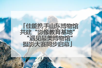 佳能携手山东博物馆共建“影像教育基地” “遇见最美博物馆”摄影大赛同步启幕