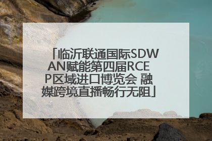 临沂联通国际SDWAN赋能第四届RCEP区域进口博览会 融媒跨境直播畅行无阻