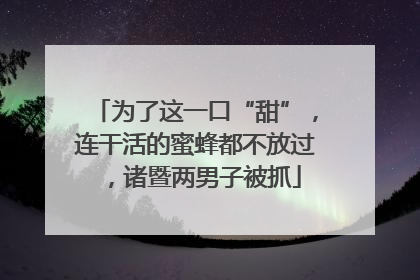 为了这一口“甜”，连干活的蜜蜂都不放过，诸暨两男子被抓