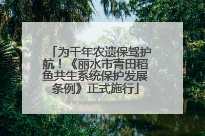 为千年农遗保驾护航！《丽水市青田稻鱼共生系统保护发展条例》正式施行