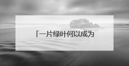 一片绿叶何以成为乡村振兴“金叶”
