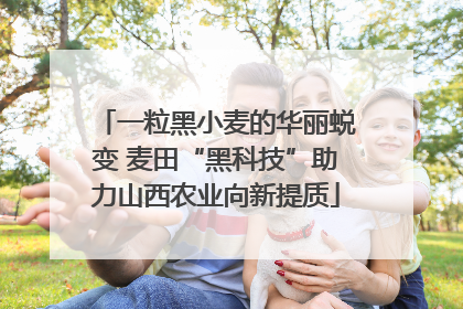 一粒黑小麦的华丽蜕变 麦田“黑科技”助力山西农业向新提质