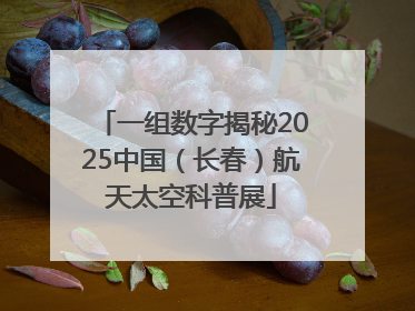 一组数字揭秘2025中国（长春）航天太空科普展