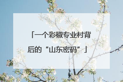 一个彩椒专业村背后的“山东密码”
