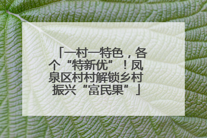 一村一特色，各个“特新优”！凤泉区村村解锁乡村振兴“富民果”