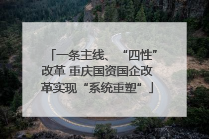 一条主线、“四性”改革 重庆国资国企改革实现“系统重塑”
