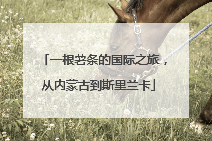 一根薯条的国际之旅，从内蒙古到斯里兰卡