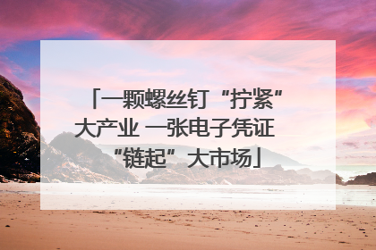 一颗螺丝钉“拧紧”大产业 一张电子凭证“链起”大市场