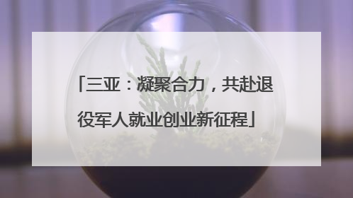 三亚：凝聚合力，共赴退役军人就业创业新征程