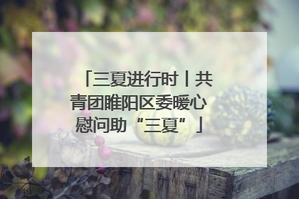 三夏进行时丨共青团睢阳区委暖心慰问助“三夏”