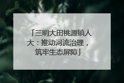 三明大田桃源镇人大：推动河流治理，筑牢生态屏障