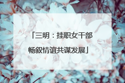 三明：挂职女干部畅叙情谊共谋发展