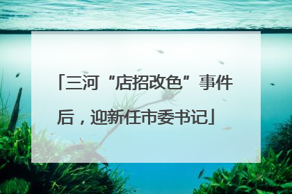 三河“店招改色”事件后，迎新任市委书记