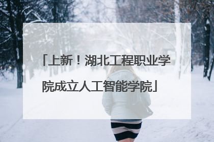 上新！湖北工程职业学院成立人工智能学院