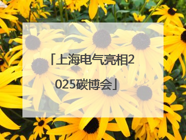 上海电气亮相2025碳博会