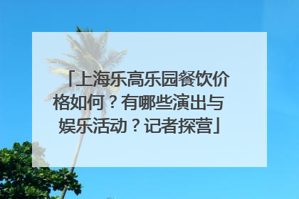 上海乐高乐园餐饮价格如何？有哪些演出与娱乐活动？记者探营