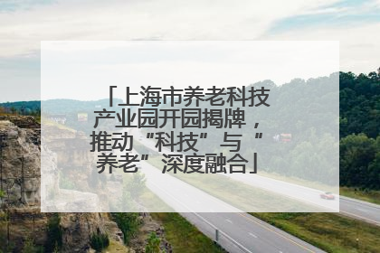 上海市养老科技产业园开园揭牌，推动“科技”与“养老”深度融合