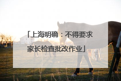 上海明确：不得要求家长检查批改作业