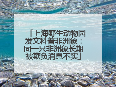 上海野生动物园发文科普非洲象：同一只非洲象长期被欺负消息不实