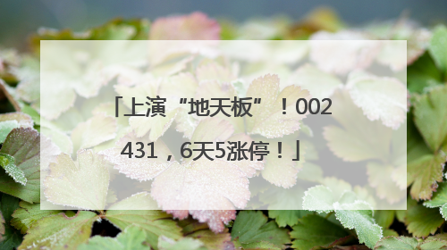 上演“地天板”！002431，6天5涨停！
