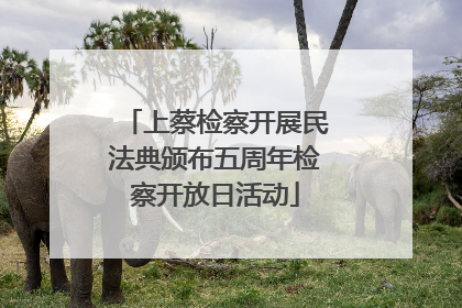 上蔡检察开展民法典颁布五周年检察开放日活动