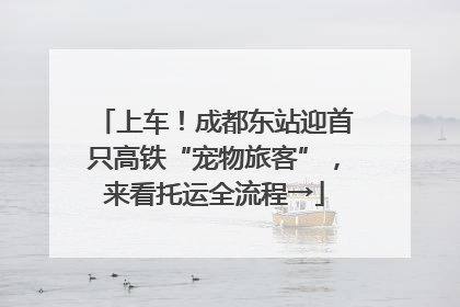 上车！成都东站迎首只高铁“宠物旅客”，来看托运全流程→