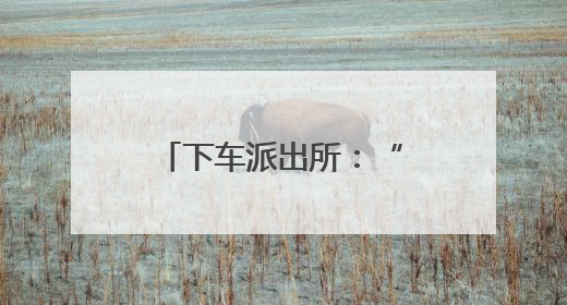 下车派出所：“平安夜巡” 让安全守护看得见