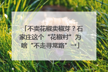 不卖花椒卖椒芽？石家庄这个“花椒村”为啥“不走寻常路”→