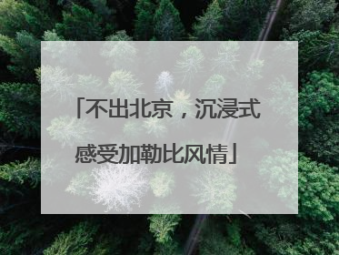 不出北京，沉浸式感受加勒比风情