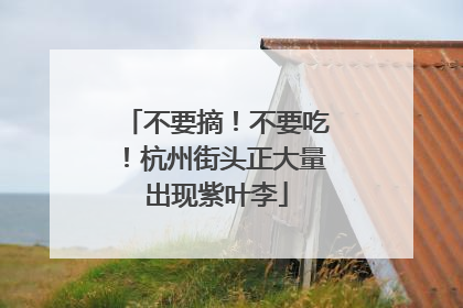 不要摘！不要吃！杭州街头正大量出现紫叶李