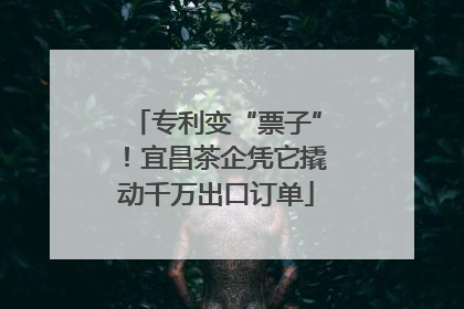 专利变“票子”！宜昌茶企凭它撬动千万出口订单