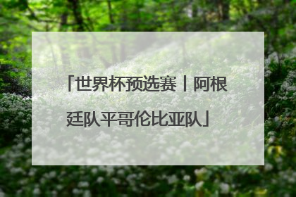 世界杯预选赛丨阿根廷队平哥伦比亚队