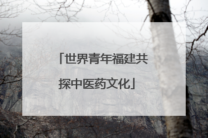 世界青年福建共探中医药文化