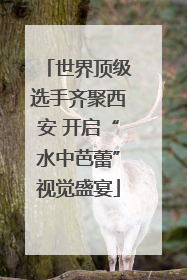 世界顶级选手齐聚西安 开启“水中芭蕾”视觉盛宴
