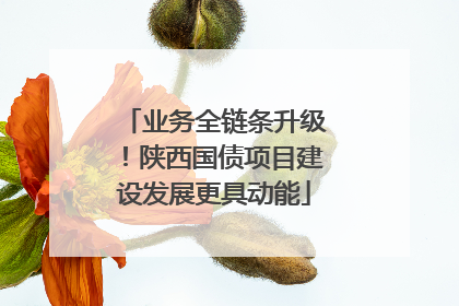 业务全链条升级！陕西国债项目建设发展更具动能