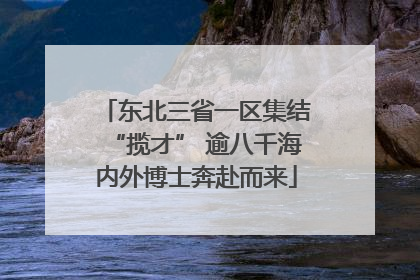 东北三省一区集结“揽才” 逾八千海内外博士奔赴而来
