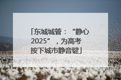 东城城管：“静心2025”，为高考按下城市静音键