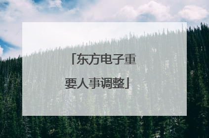 东方电子重要人事调整