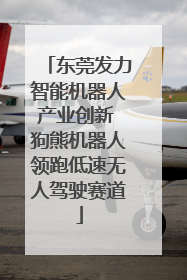 东莞发力智能机器人产业创新 狗熊机器人领跑低速无人驾驶赛道