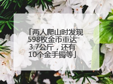 两人爬山时发现598枚金币重达3.7公斤，还有10个金手镯等
