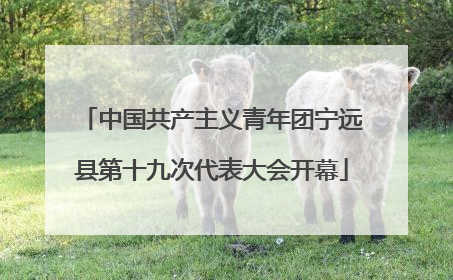 中国共产主义青年团宁远县第十九次代表大会开幕
