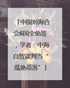 中国对海合会6国全免签，学者：中海自贸谈判当“瓜熟蒂落”