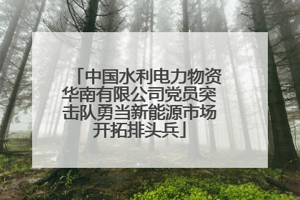 中国水利电力物资华南有限公司党员突击队勇当新能源市场开拓排头兵