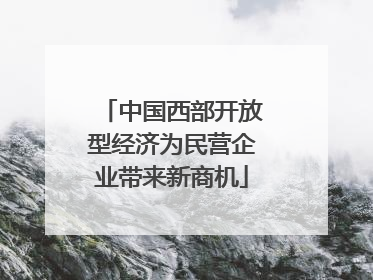 中国西部开放型经济为民营企业带来新商机