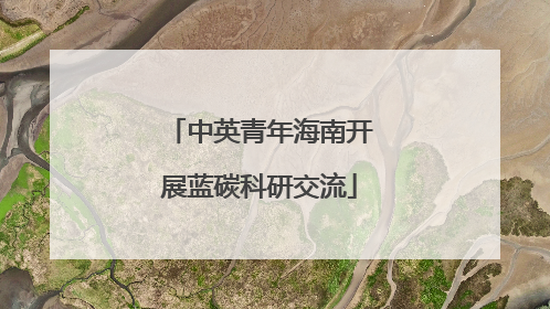 中英青年海南开展蓝碳科研交流