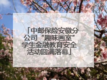 中邮保险安徽分公司“趣味画室”学生金融教育安全活动圆满落幕