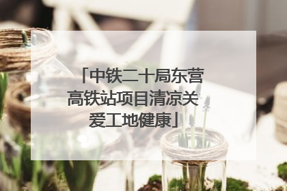 中铁二十局东营高铁站项目清凉关爱工地健康
