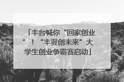 丰台喊你“回家创业”！“丰翼创未来”大学生创业争霸赛启动