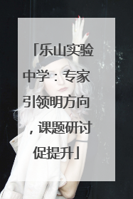 乐山实验中学：专家引领明方向，课题研讨促提升