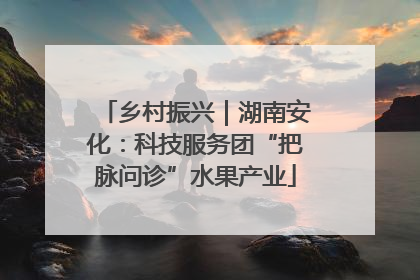 乡村振兴｜湖南安化：科技服务团“把脉问诊”水果产业